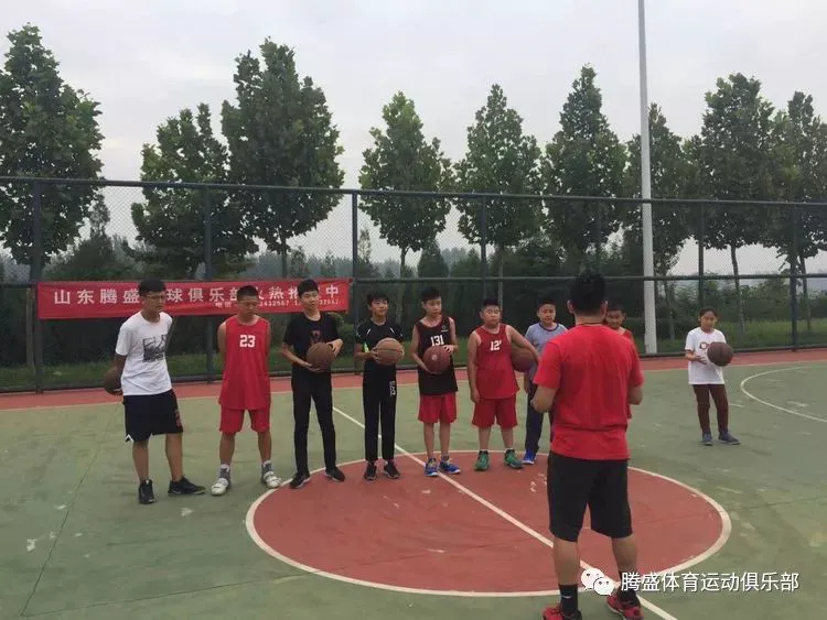 绳梯训练篮球_2